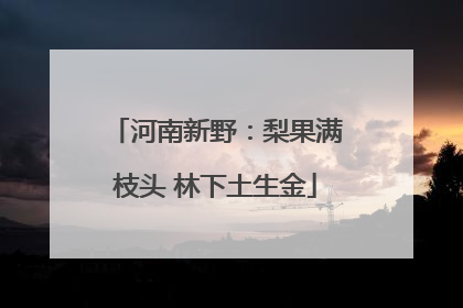 河南新野：梨果满枝头 林下土生金