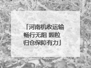 河南机收运输畅行无阻 颗粒归仓保障有力