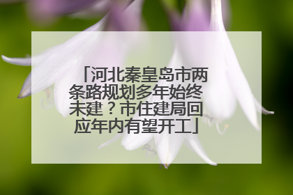 河北秦皇岛市两条路规划多年始终未建？市住建局回应年内有望开工