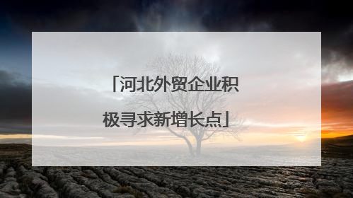 河北外贸企业积极寻求新增长点