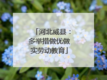 河北威县：多举措做优做实劳动教育