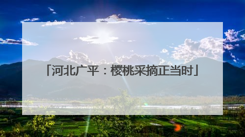 河北广平：樱桃采摘正当时