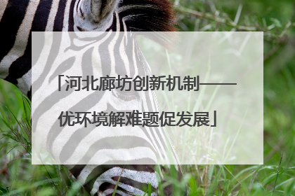 河北廊坊创新机制——优环境解难题促发展