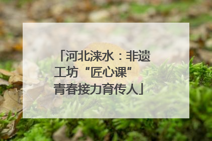 河北涞水：非遗工坊“匠心课” 青春接力育传人