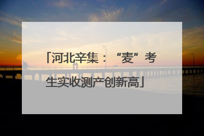河北辛集：“麦”考生实收测产创新高