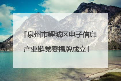 泉州市鲤城区电子信息产业链党委揭牌成立