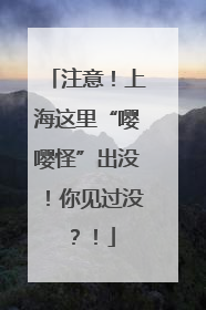 注意！上海这里“嘤嘤怪”出没！你见过没？！