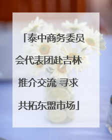 泰中商务委员会代表团赴吉林推介交流 寻求共拓东盟市场