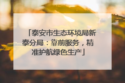 泰安市生态环境局新泰分局：靠前服务，精准护航绿色生产