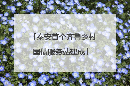 泰安首个齐鲁乡村国债服务站建成