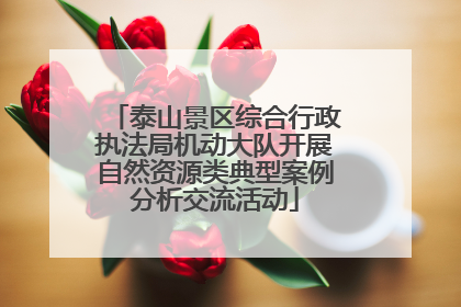 泰山景区综合行政执法局机动大队开展自然资源类典型案例分析交流活动