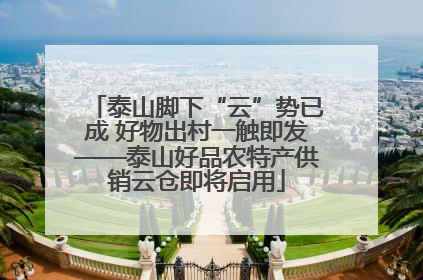 泰山脚下“云”势已成 好物出村一触即发——泰山好品农特产供销云仓即将启用