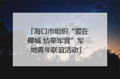 海口市组织“爱在椰城 情牵军营”军地青年联谊活动