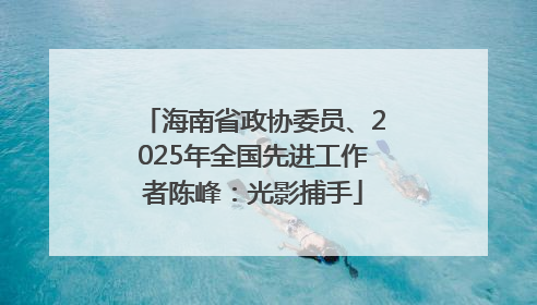 海南省政协委员、2025年全国先进工作者陈峰：光影捕手