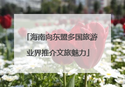 海南向东盟多国旅游业界推介文旅魅力