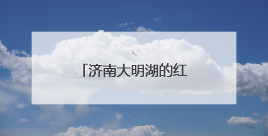 济南大明湖的红尾伯劳登枝高歌