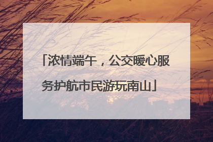浓情端午，公交暖心服务护航市民游玩南山