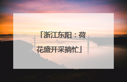 浙江东阳：荷花盛开采摘忙