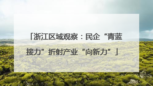 浙江区域观察：民企“青蓝接力”折射产业“向新力”