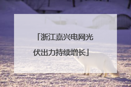 浙江嘉兴电网光伏出力持续增长