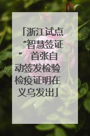 浙江试点“智慧签证” 首张自动签发检验检疫证明在义乌发出