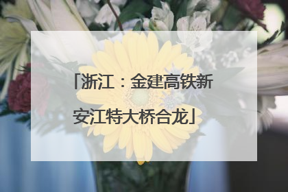 浙江：金建高铁新安江特大桥合龙
