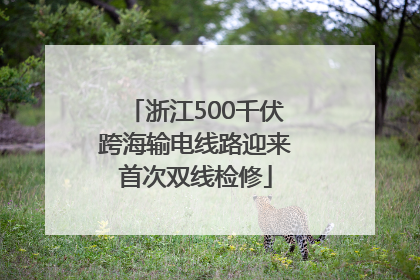 浙江500千伏跨海输电线路迎来首次双线检修