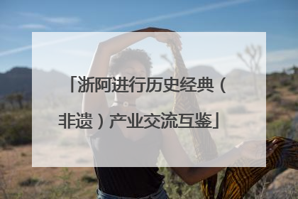 浙阿进行历史经典（非遗）产业交流互鉴