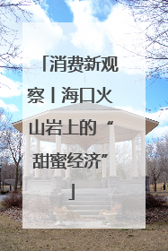 消费新观察丨海口火山岩上的“甜蜜经济”