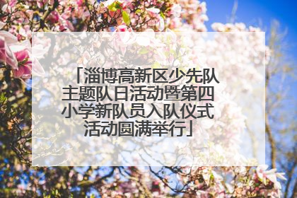 淄博高新区少先队主题队日活动暨第四小学新队员入队仪式活动圆满举行