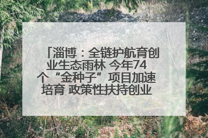淄博：全链护航育创业生态雨林 今年74个“金种子”项目加速培育 政策性扶持创业9754人