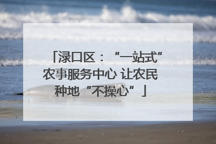 渌口区：“一站式”农事服务中心 让农民种地“不操心”