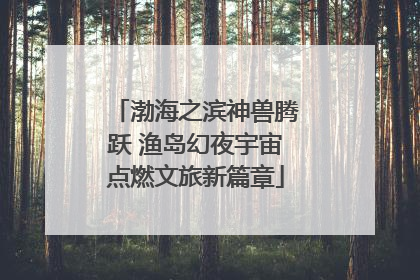 渤海之滨神兽腾跃 渔岛幻夜宇宙点燃文旅新篇章