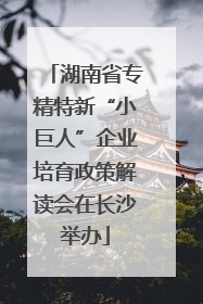 湖南省专精特新“小巨人”企业培育政策解读会在长沙举办