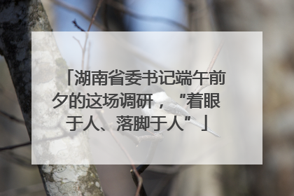 湖南省委书记端午前夕的这场调研，“着眼于人、落脚于人”