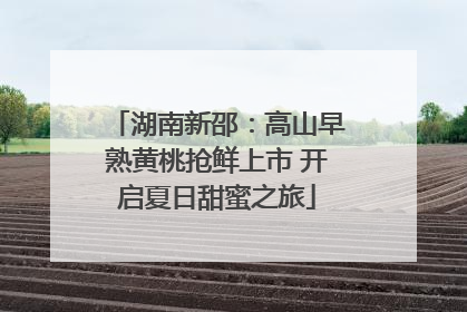 湖南新邵：高山早熟黄桃抢鲜上市 开启夏日甜蜜之旅