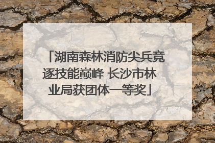 湖南森林消防尖兵竞逐技能巅峰 长沙市林业局获团体一等奖
