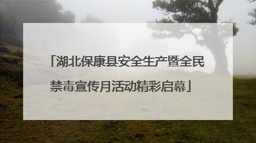 湖北保康县安全生产暨全民禁毒宣传月活动精彩启幕