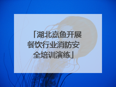 湖北嘉鱼开展餐饮行业消防安全培训演练