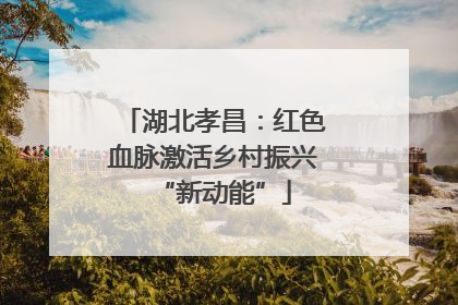 湖北孝昌：红色血脉激活乡村振兴“新动能”