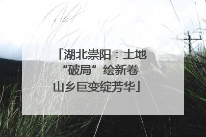湖北崇阳：土地“破局”绘新卷 山乡巨变绽芳华