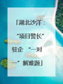 湖北沙洋：“项目警长”驻企 “一对一”解难题