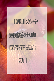 湖北苏宁易购家电惠民季正式启动