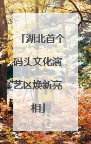 湖北首个码头文化演艺区焕新亮相