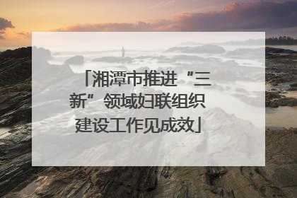 湘潭市推进“三新”领域妇联组织建设工作见成效