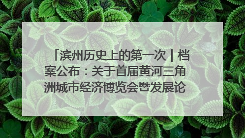 滨州历史上的第一次｜档案公布：关于首届黄河三角洲城市经济博览会暨发展论坛情况的总结报告