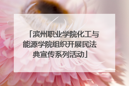 滨州职业学院化工与能源学院组织开展民法典宣传系列活动