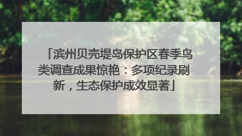 滨州贝壳堤岛保护区春季鸟类调查成果惊艳：多项纪录刷新，生态保护成效显著