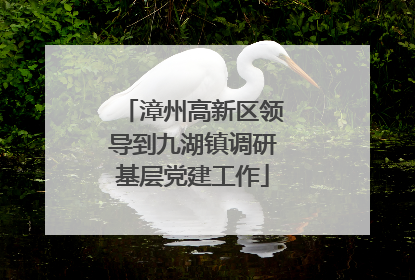 漳州高新区领导到九湖镇调研基层党建工作