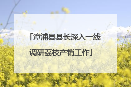 漳浦县县长深入一线调研荔枝产销工作